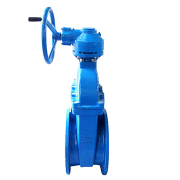 JR-GT-17 Resilient Seated Gate